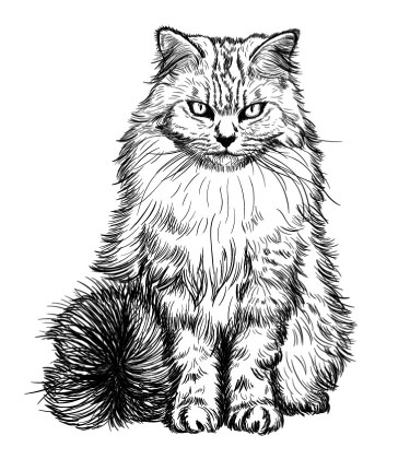 Schwarzweiß Karikaturporträt von Cat