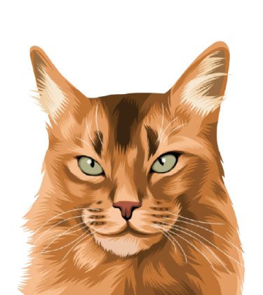 Vollständig koloriertes Porträt von Cat