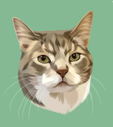 Nettes Katzenporträt auf grünem Hintergrund
