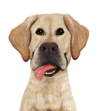 Brauner Hund mit herausgestreckter Zunge und gelehnt